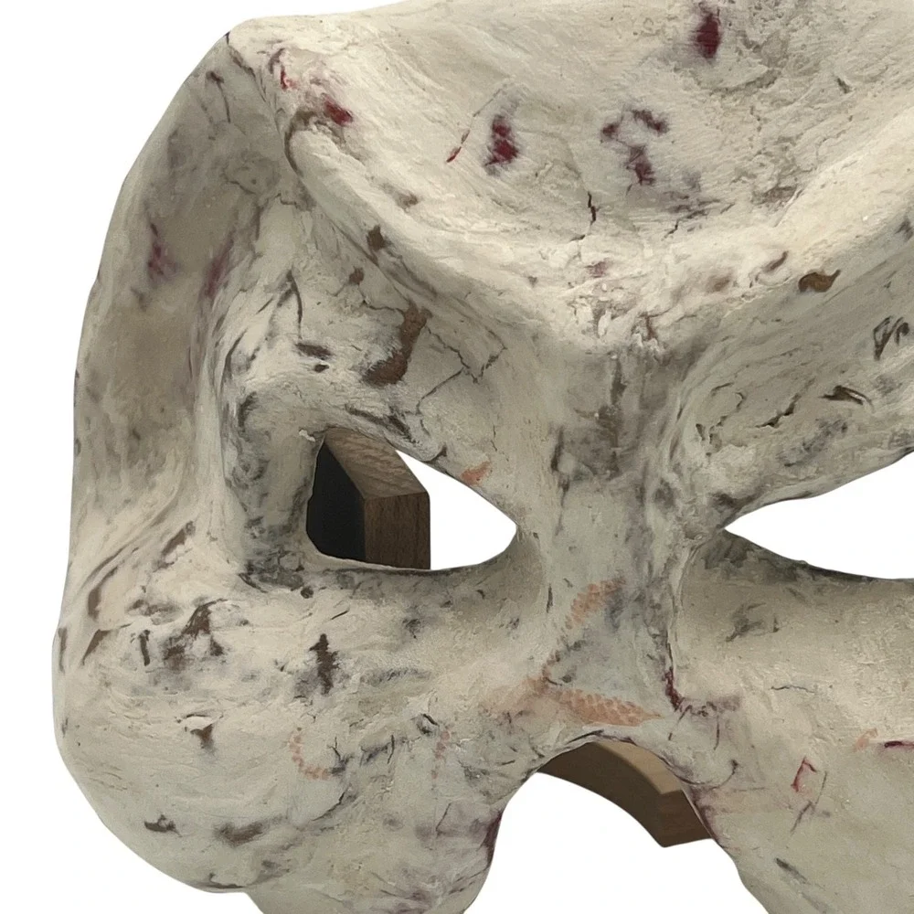 Artisan Crafted‎ Papier-mâché Mask Halloween Mardi Gras Wall Decor Theater